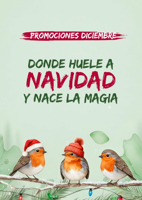 “Diciembre huele a magia… y a promos irresistibles. ✨🎁”