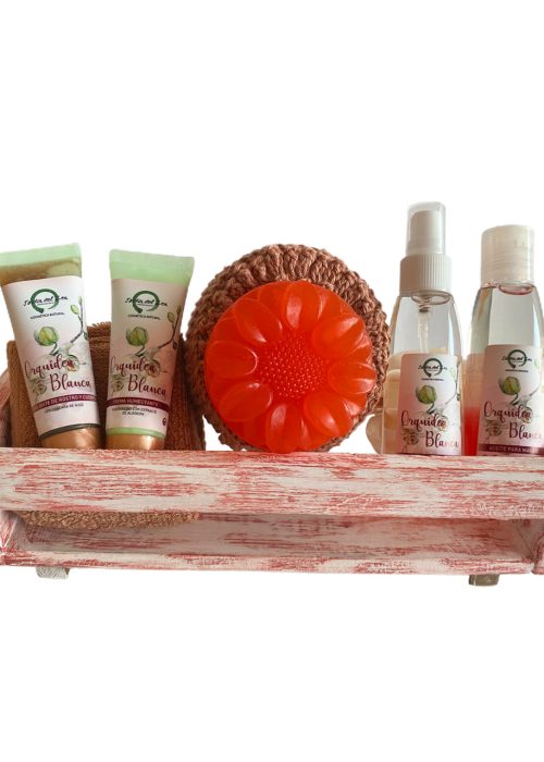 Kit Orquídea Blanca